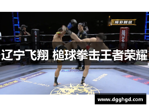 辽宁飞翔 槌球拳击王者荣耀