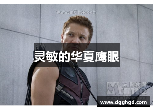 灵敏的华夏鹰眼